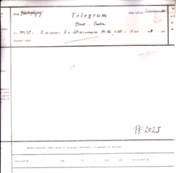 CZ 2024 98 008 **